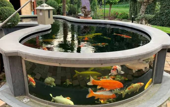 Mẫu Tròn Uốn Cong